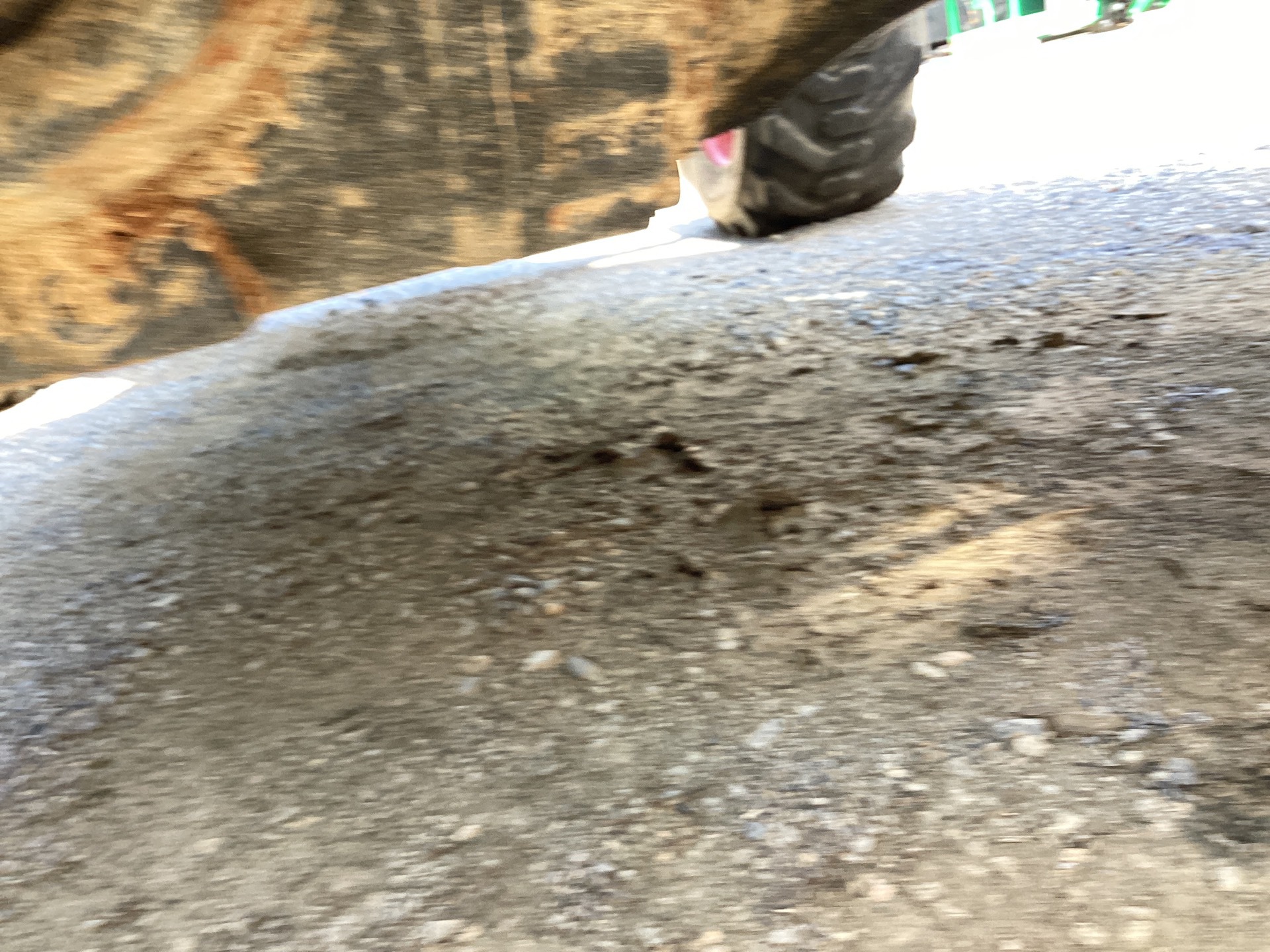 Photo - 50