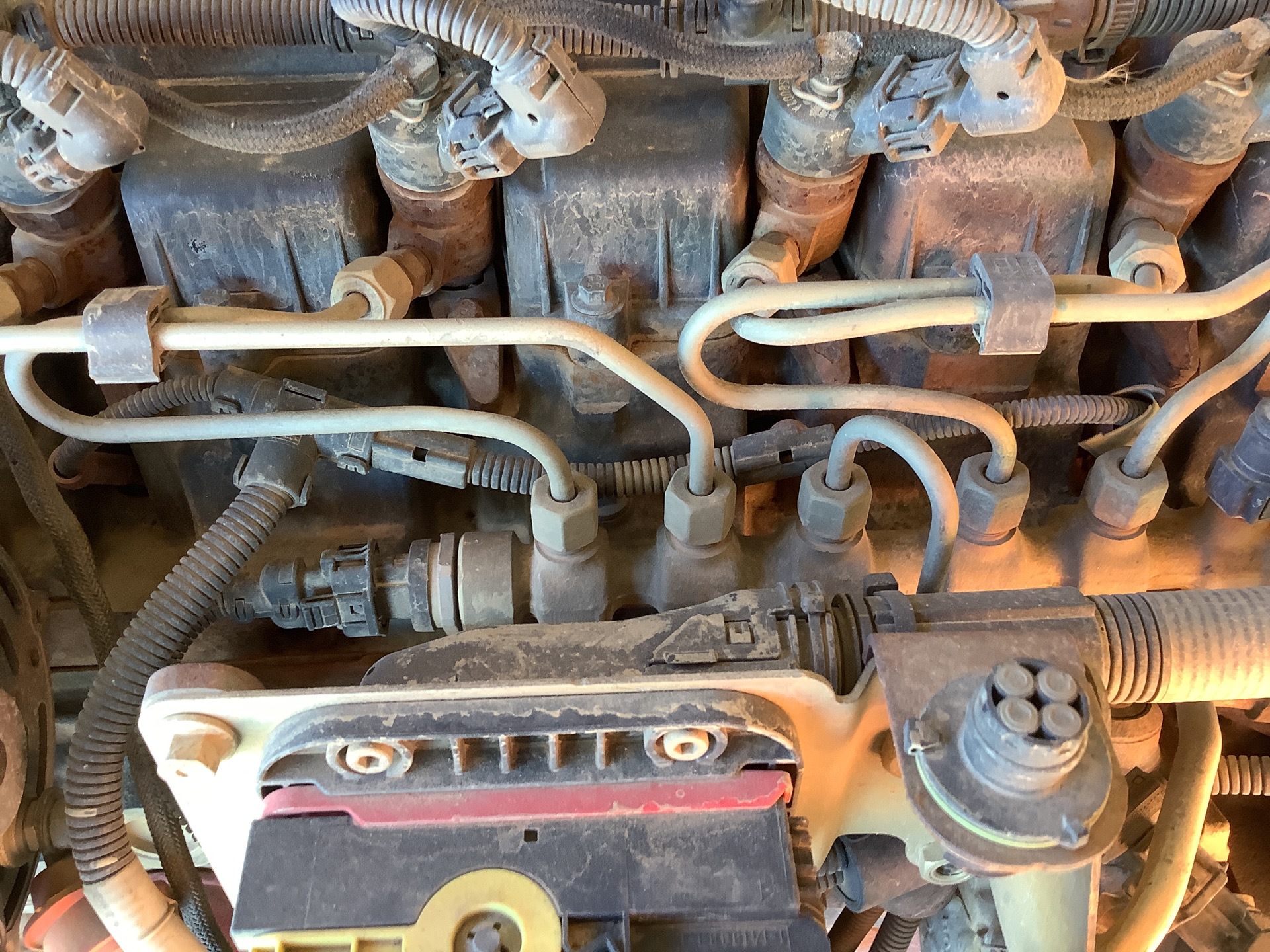Photo - 25